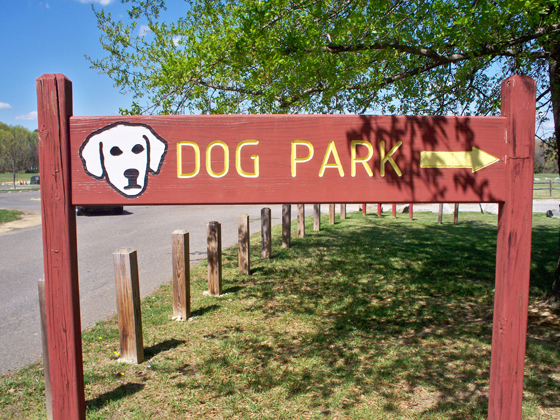 dog-park